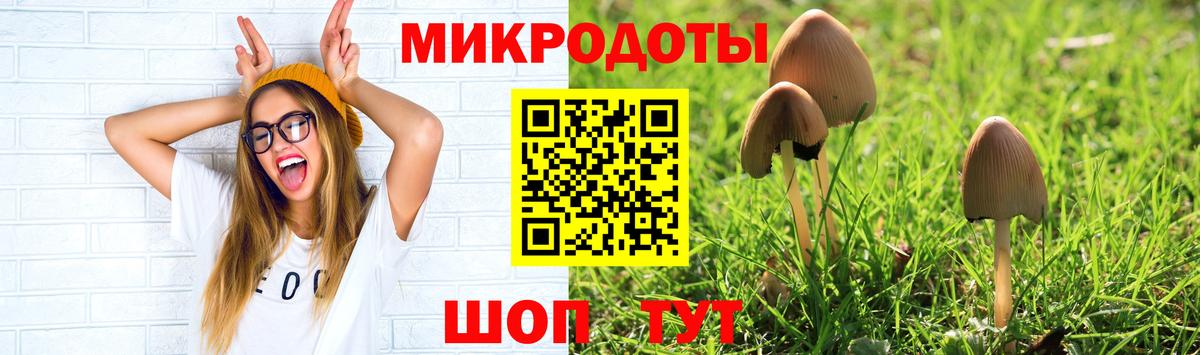 Псилоцибиновые грибы GOLDEN TEACHER Михайловка